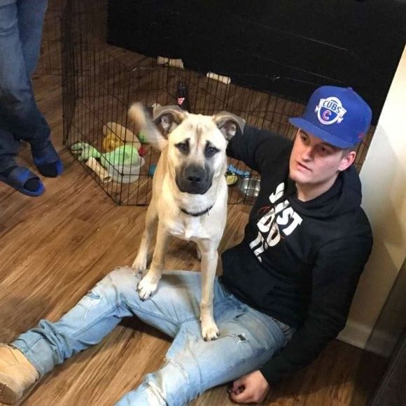 Meet your Posher, Joey - Picture 1 of 1